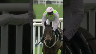 Gaelic Warrior  Champion Chase or Ryanair this season horse horseracing britishhorseracing [upl. by Eilrac]