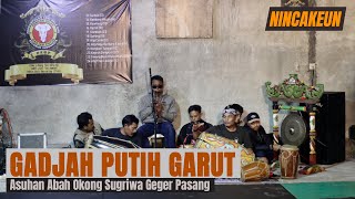 Padungdung BUBUKA Pencak Silat NINCAKEUN  Gadjah Putih Garut [upl. by Giustino]