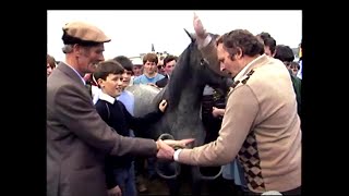 Ballinasloe Horse Fair Co Galway Ireland 1985 [upl. by Bluhm]