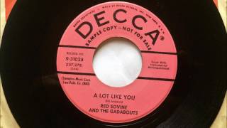 A Lot Like You  Red Sovine And The Gadabouts  1959 [upl. by Desai]