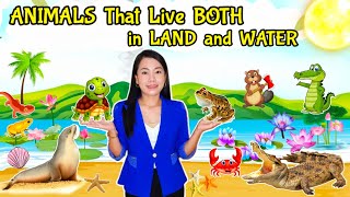 ANIMALS THAT LIVE BOTH IN LAND AND WATER  INTERACTIVE SCIENCE Lesson For Kids [upl. by Ateikan]