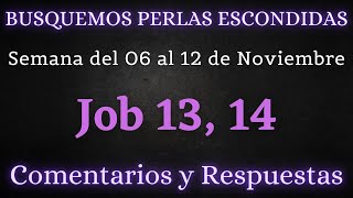 BUSQUEMOS PERLAS ESCONDIDAS ✅ SEMANA DEL 06 AL 12 DE NOVIEMBRE ♡ JOB 13 14 [upl. by Zap152]