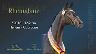 Rheinglanz  Dressage Collection 2022 Schockemöhle amp Helgstrand ENG [upl. by Helban]