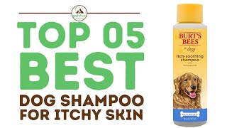 Best Dog Shampoos for Itchy Skin [upl. by Anelegna444]