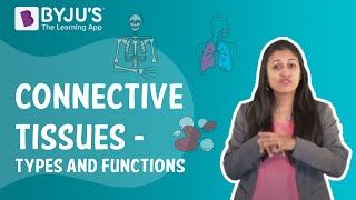 Connective Tissues  Types And Functions I Class 9 I Learn with BYJUS [upl. by Ysdnyl]