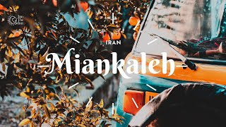 MIANKALEH IRAN 2021  RESTRICTED AREA  BEHSHAHR MAZANDARAN  منطقعه حفاظت شده میانکاله بهشهر [upl. by Nudnarb578]