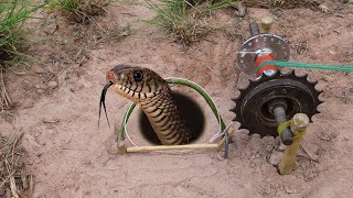 EASY SNAKE TRAP Installing Unique Quick Snake Trapping Using Bike Crank Work 100 [upl. by Nauqaj]