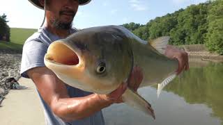 SNAGGING SILVER CARP USING 50 TREBLE HOOK 71020 [upl. by Malca798]