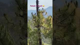 almora uttarakhand subscribe kumauni pahadi love [upl. by Akir549]