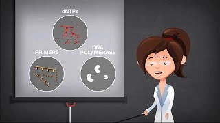 Basics of PCR [upl. by Winonah392]