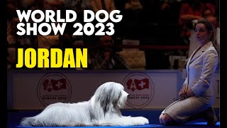 WORLD DOG SHOW 2023 Geneve  Bearded Collie [upl. by Nhguavaj]