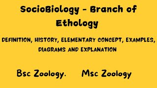 Sociobiology  Branch of Ethology bsczoology msczoology ethology [upl. by Iegres440]