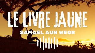 Le Livre Jaune  Livre Audio de Samael Aun Weor [upl. by Sivert]