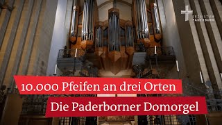 Domorgel im Paderborner Dom Blick hinter die Kulissen der drittgrößten Orgel Deutschlands [upl. by Eiblehs602]