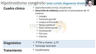 ¿Cretinismo significa cristiano [upl. by Elene]