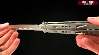 Microtech Tachyon 2 TANTO Overview [upl. by Loutitia]