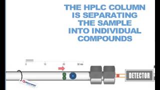 How HPLC Columns Work [upl. by Analaj]