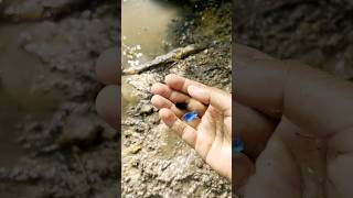 Simple Gem Mining  Gem Mining in Forest Channel shorts fyp satisfying gemstone gold mining [upl. by Renruojos]