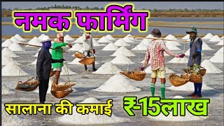 Namak farming in india  Natural Salt Making with Sea Water  NaCl  Salt Mineral Make Process India [upl. by Eunice]