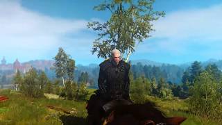 The Witcher 3 Netflix Sword Gameplay 15 [upl. by Steep]