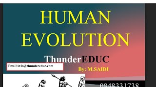 HUMAN EVOLUTION GRADE 12 LIFE SCIENCES THUNDEREDUC BY BSAIDI [upl. by Thordis]