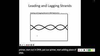 82 DNA Replication [upl. by Publus]