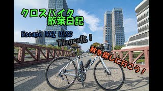 クロスバイクで散策 Tiagra化 試走を兼ねて秋を探しに行こう！☆4K動画☆ 2023年11月4日 [upl. by Randene]