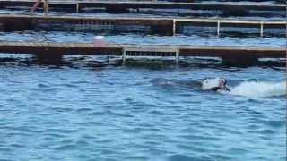 Swimming with the DOLPHINS  Chankanaab Park in Cozumel Mexico September 28 2012 [upl. by Marelda]