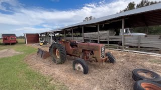 Forgotten 464 IH Farm Tractor for sale But is it Worth 2500 [upl. by Opalina230]