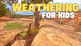 Weathering for Kids  What Is Weathering Fun Introduction to Weathering for Kids [upl. by Nihahs898]