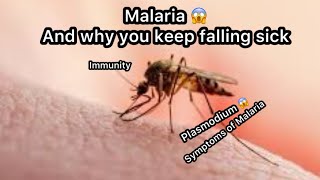 Malaria  Why you keep falling sick 🤒 immunity malaria malariaawareness [upl. by Nanete137]