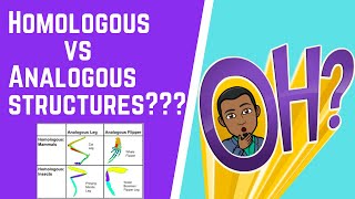 Homologous vs Analogous Structures 101 [upl. by Fazeli]