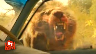 Beast 2022  Lion Attack Scene  Movieclips [upl. by Pisano689]