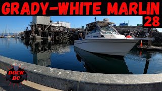 GRADYWHITE MARLIN 28  DOCK BC [upl. by Boothe]