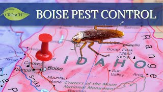 Pest Control Near Boise  Croach® [upl. by Newfeld153]