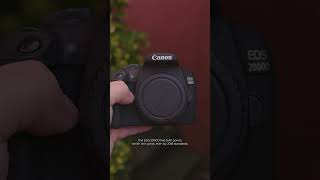 Does the Canon 2000D Have Dual Pixel AF [upl. by Yasibit]