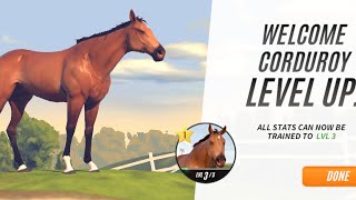 rival stars horse racing gameplay in hindi rival stars horse racing gameplay rival stars horse [upl. by Oisinoid]