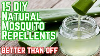 Worlds Best DIY Natural Mosquito Repellents  15 Recipes Better Than OFF [upl. by Close16]