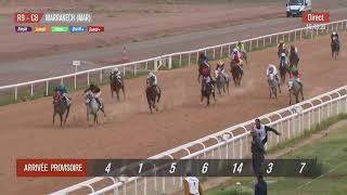 Live Hippodrome « MARRAKECH »  Courses du « 26022024 » [upl. by Nidla]