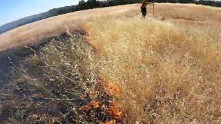 Streaming Live from Bidwell Park Burn [upl. by Orenid]