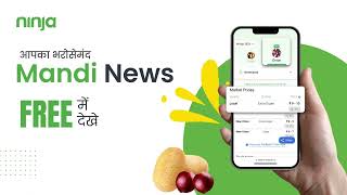 Ninja Mandi News  Onion amp Potato prices for free 10Sec [upl. by Hardin]