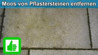 Moos amp Grünbelag von Pflastersteinen  Terrasse  entfernen  Hausmittel Moosentferner  Anleitung [upl. by Us]