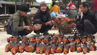 Zon happily goes to the market to sell chickens after the disease outbreak at the farm [upl. by Notaes]