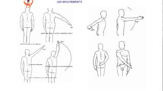 Examen clinique de lépaule [upl. by Kass]