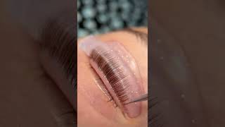 Get ready to flutter those fabulous lashes lashgoals lashliftandtint lashtransformation [upl. by Freddy924]