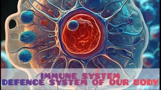 Immune System  How Your Immune System Protects You The Bodys Ultimate Defense Mechanism [upl. by Annagroeg]