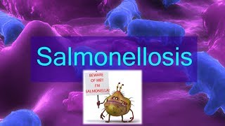 What is Salmonellosis [upl. by Scibert]