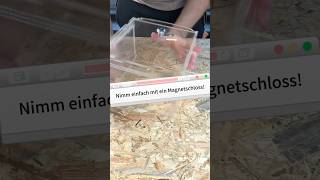 Sicherheit der Haltung von Skorpionen terraristik terrarium diy schloss skorpion skorpione [upl. by Nileve160]