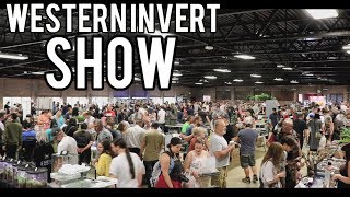 The Western Invert Show 2019  Invert Shows UK [upl. by Philbert]