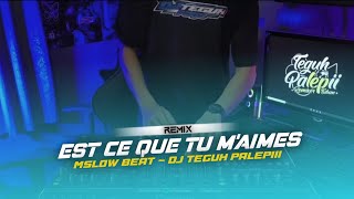 DJ EST CE QUE TUM MAIMES MSLOW X ELSA BALONTE KANE POLL  DJ Teguh Palepiii [upl. by Concoff]